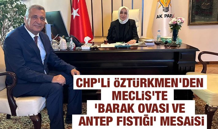 CHP'li Öztürkmen'den Meclis'te 'Barak Ovası ve Antep fıstığı' mesaisi