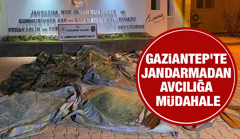 Gaziantep'te jandarmadan avcılığa müdahale