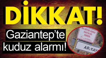 DİKKAT! Gaziantep’te kuduz alarmı!