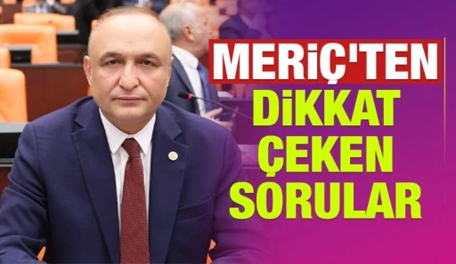 Meriç'ten dikkat çeken sorular