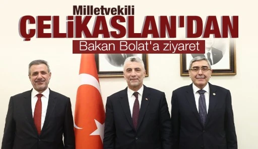 Milletvekili Çelikaslan'dan Bakan Bolat'a ziyaret