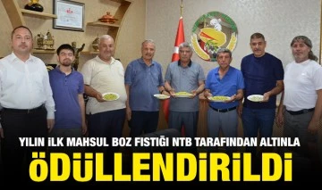 YILIN İLK MAHSUL BOZ FISTIĞI NTB TARAFINDAN ALTINLA ÖDÜLLENDİRİLDİ