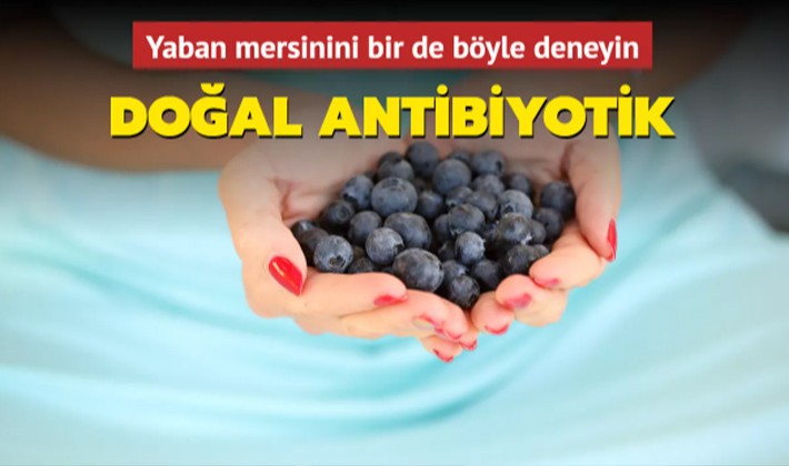 Doğal antibiyotik! Günde bir bardak yetiyor, yaban mersinini bir de böyle deneyin