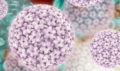 100 kadından 98'i HPV virüsü ile karşı karşıya