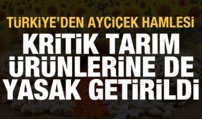 Türkiye'den ayçiçek hamlesi