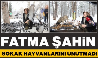 Fatma Şahin sokak hayvanlarını unutmadı